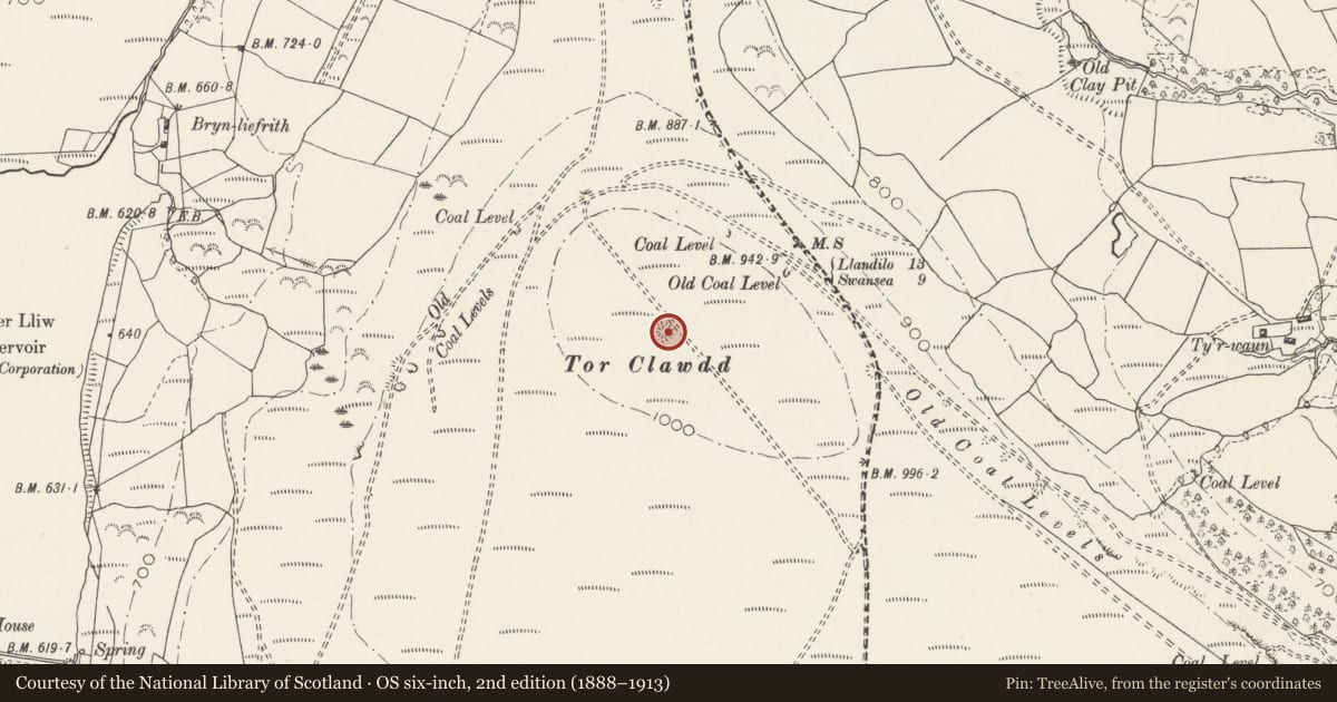 Ordnance Survey six-inch map, 2nd edition (1888–1913) covering the location of Ring Cairn on Tor Clawdd, Mawr, Swansea, with a pin at the register's coordinates