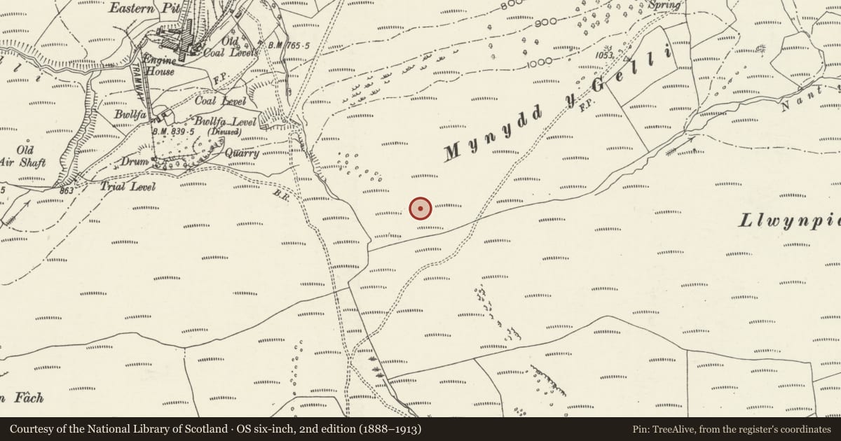 Ordnance Survey six-inch map, 2nd edition (1888–1913) covering the location of Mynydd y Gelli kerb cairn, Ystrad, Rhondda Cynon Taff, with a pin at the register's coordinates