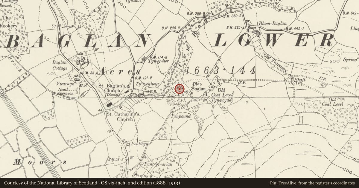 Ordnance Survey six-inch map, 2nd edition (1888–1913) covering the location of Plas Baglan, Neath Port Talbot, with a pin at the register's coordinates