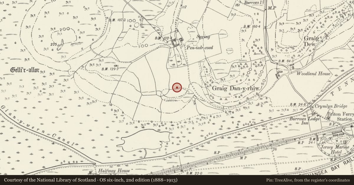 Ordnance Survey six-inch map, 2nd edition (1888–1913) covering the location of St Margaret's Chapel, Coedffranc, Neath Port Talbot, with a pin at the register's coordinates