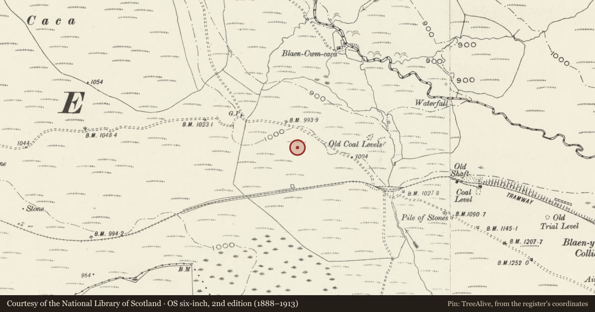 Ordnance Survey six-inch map, 2nd edition (1888–1913) covering the location of Roman Marching Camp South West of Melin Court Brook, Clyne and Melincourt, Neath Port Talbot, with a pin at the register's coordinates