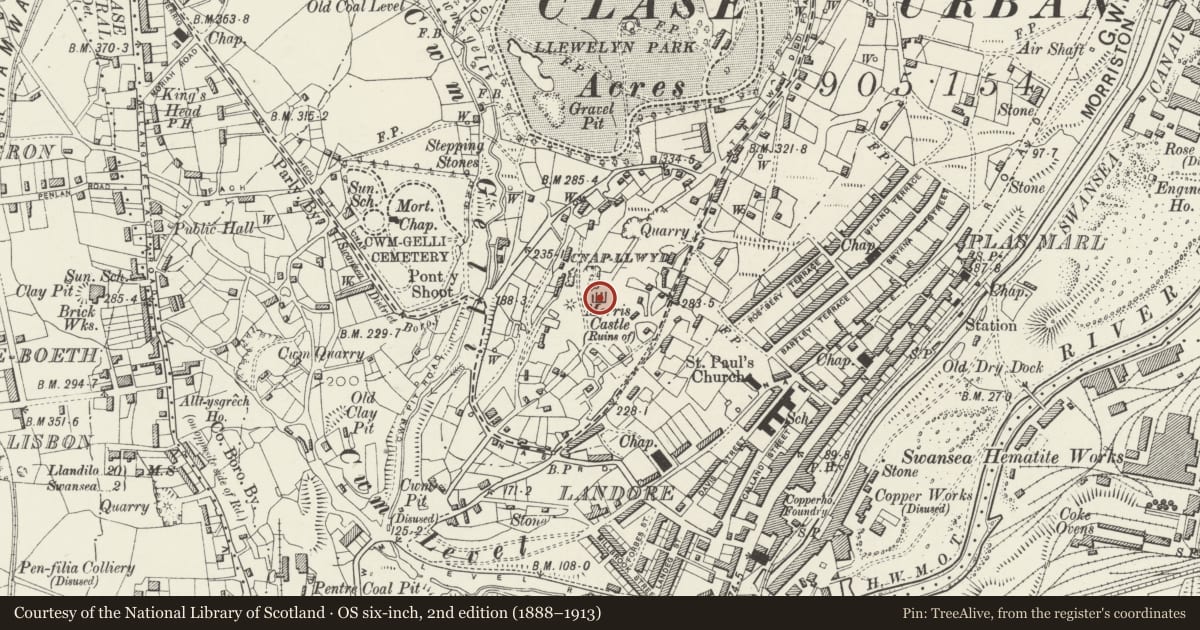 Ordnance Survey six-inch map, 2nd edition (1888–1913) covering the location of Morris Castle, Landore, Swansea, with a pin at the register's coordinates