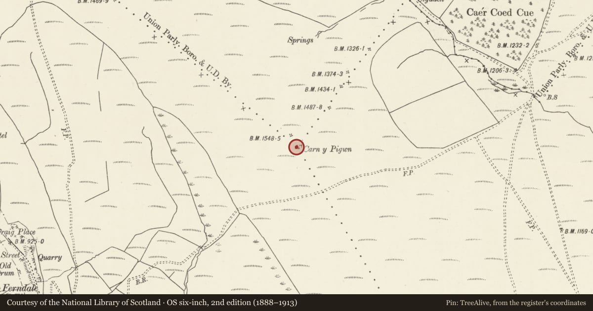 Ordnance Survey six-inch map, 2nd edition (1888–1913) covering the location of Carn-y-Pigwn Round Cairn, Ferndale, Rhondda Cynon Taff, with a pin at the register's coordinates