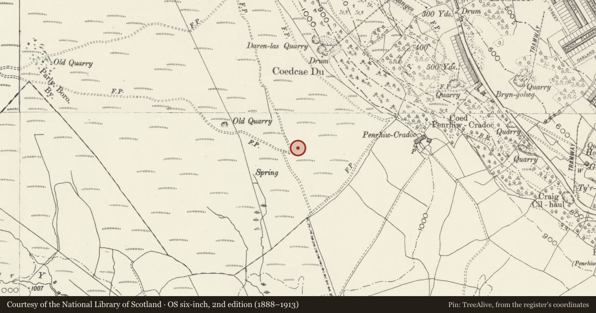 Ordnance Survey six-inch map, 2nd edition (1888–1913) covering the location of Ring Cairn 350m W of Penrhiw Caradoc, Llanwonno, Mountain Ash, Rhondda Cynon Taff, with a pin at the register's coordinates