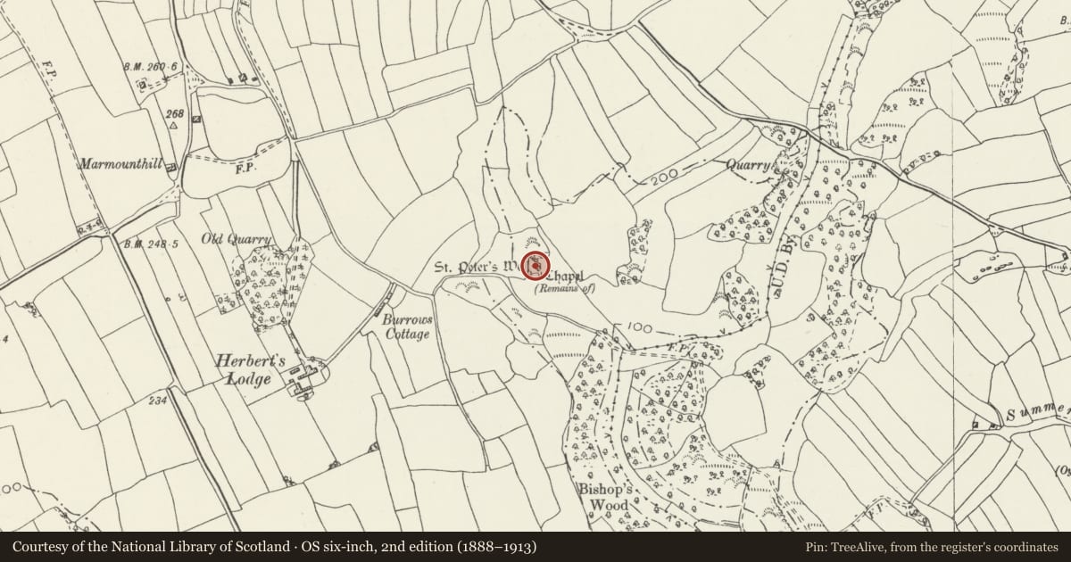 Ordnance Survey six-inch map, 2nd edition (1888–1913) covering the location of St Peter's Chapel & Well, Caswell Bay, Bishopston, Swansea, with a pin at the register's coordinates