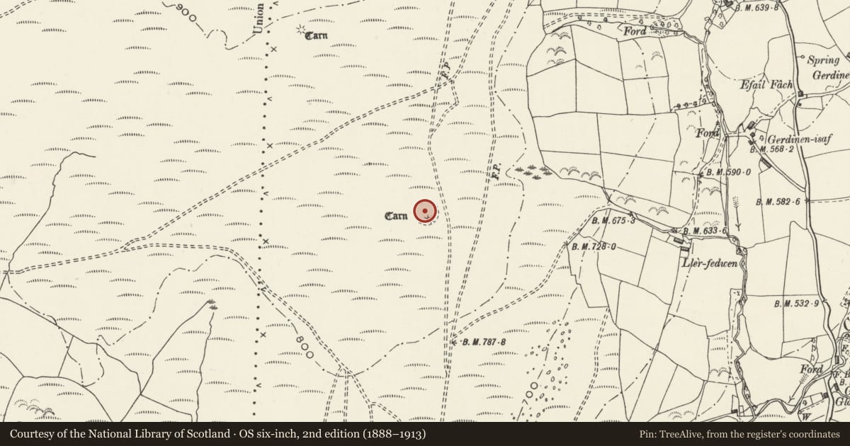 Ordnance Survey six-inch map, 2nd edition (1888–1913) covering the location of Ring Cairn on Craig Fawr, Mawr, Swansea, with a pin at the register's coordinates