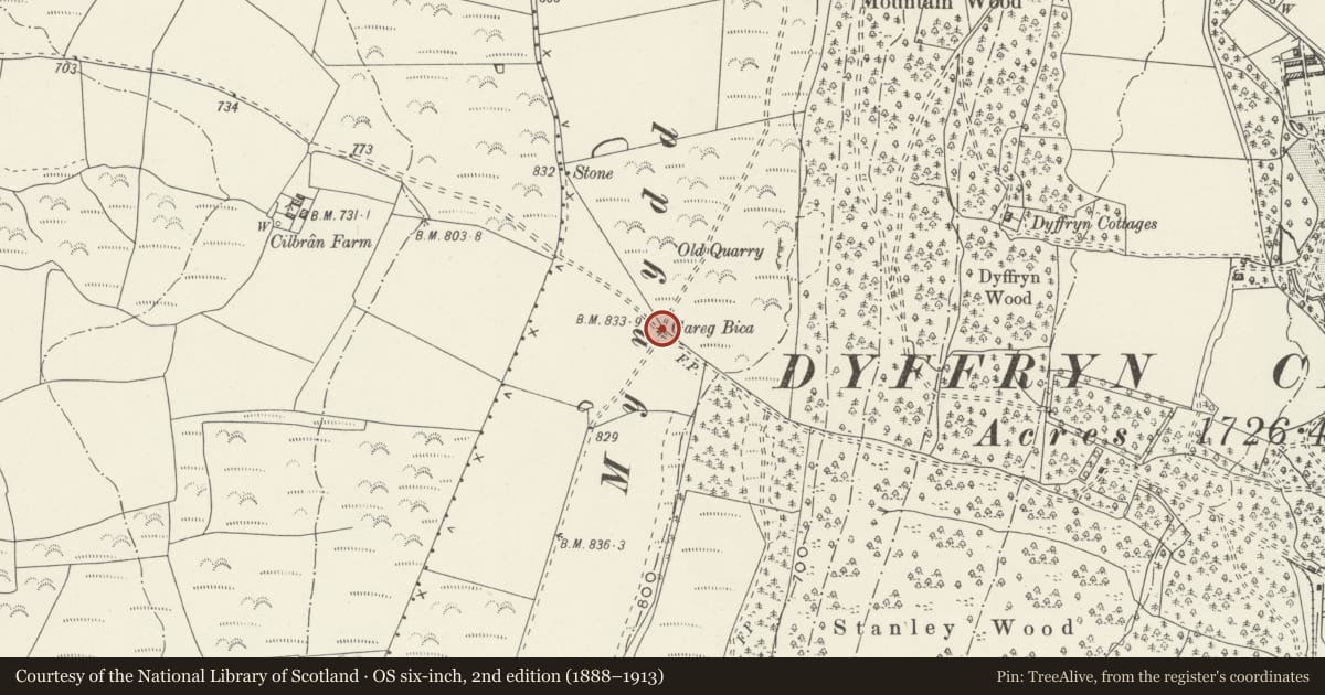 Ordnance Survey six-inch map, 2nd edition (1888–1913) covering the location of Carreg Bica Standing Stone, Dyffryn Clydach, Neath Port Talbot, with a pin at the register's coordinates