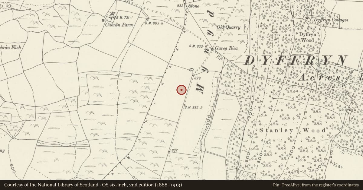 Ordnance Survey six-inch map, 2nd edition (1888–1913) covering the location of Three Round Cairns on Mynydd Drumau, Dyffryn Clydach, Neath Port Talbot, with a pin at the register's coordinates