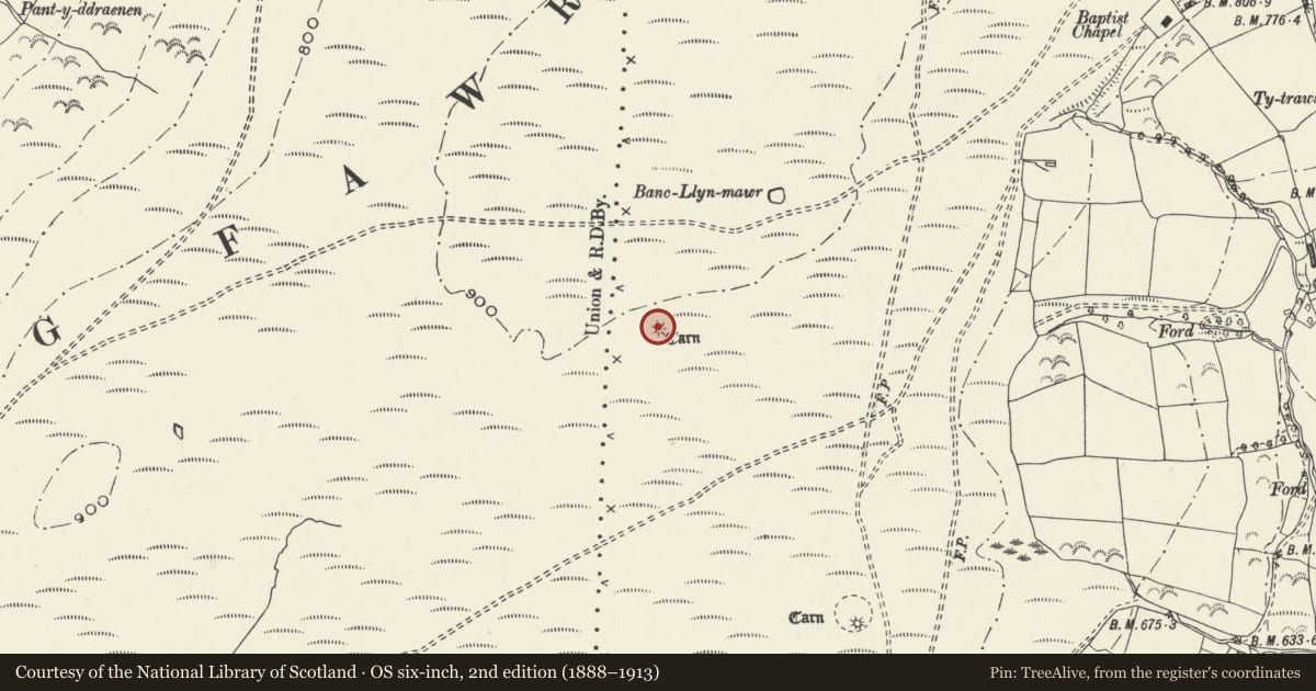 Ordnance Survey six-inch map, 2nd edition (1888–1913) covering the location of Cairn 250m SW of Banc Llyn-Mawr, Swansea, with a pin at the register's coordinates