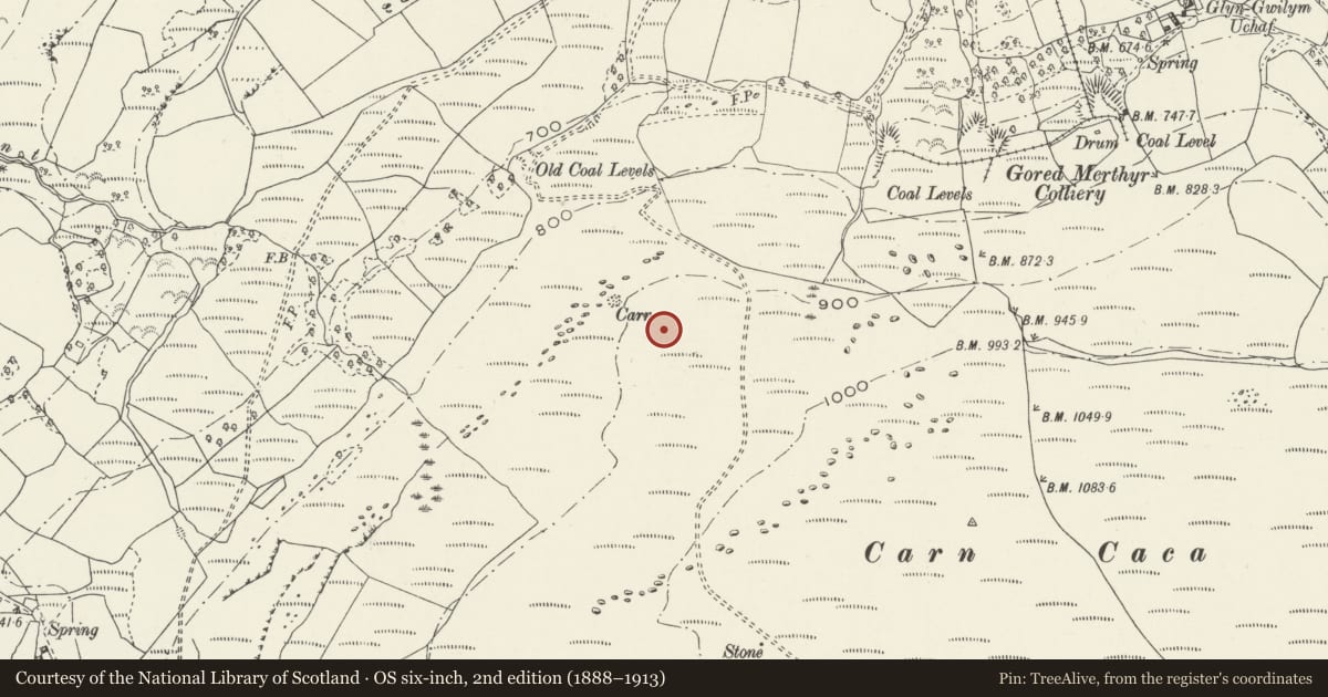 Ordnance Survey six-inch map, 2nd edition (1888–1913) covering the location of Three Round Cairns on Carn Caca, Clyne and Melincourt, Neath Port Talbot, with a pin at the register's coordinates