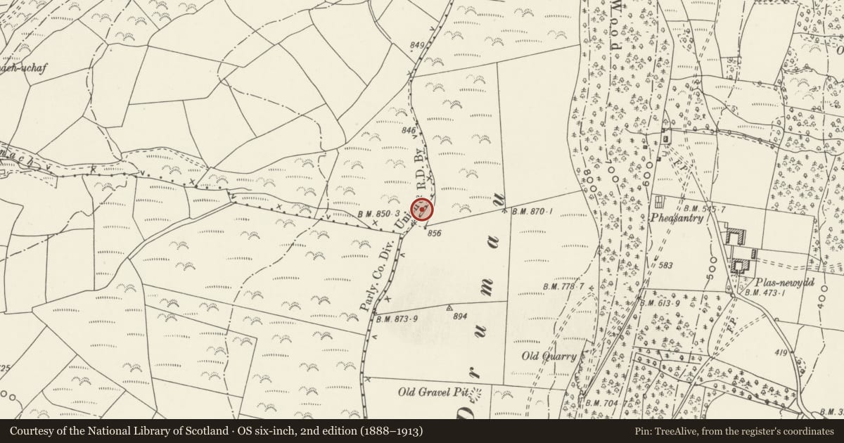 Ordnance Survey six-inch map, 2nd edition (1888–1913) covering the location of Round Cairn with Cist on Mynydd Drumau, Dyffryn Clydach, Neath Port Talbot, with a pin at the register's coordinates
