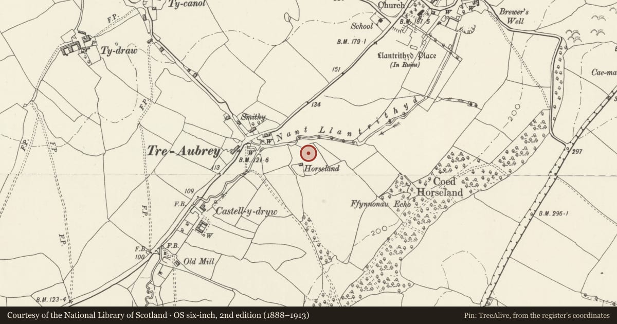 Ordnance Survey six-inch map, 2nd edition (1888–1913) covering the location of Horseland moated homestead, Llancarfan, Vale of Glamorgan, with a pin at the register's coordinates
