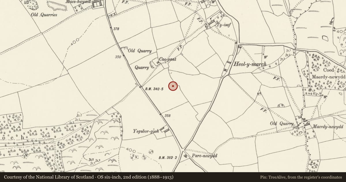 Ordnance Survey six-inch map, 2nd edition (1888–1913) covering the location of Two Round Barrows 300m North of Tair Onnen, Welsh St. Donats, Vale of Glamorgan, with a pin at the register's coordinates
