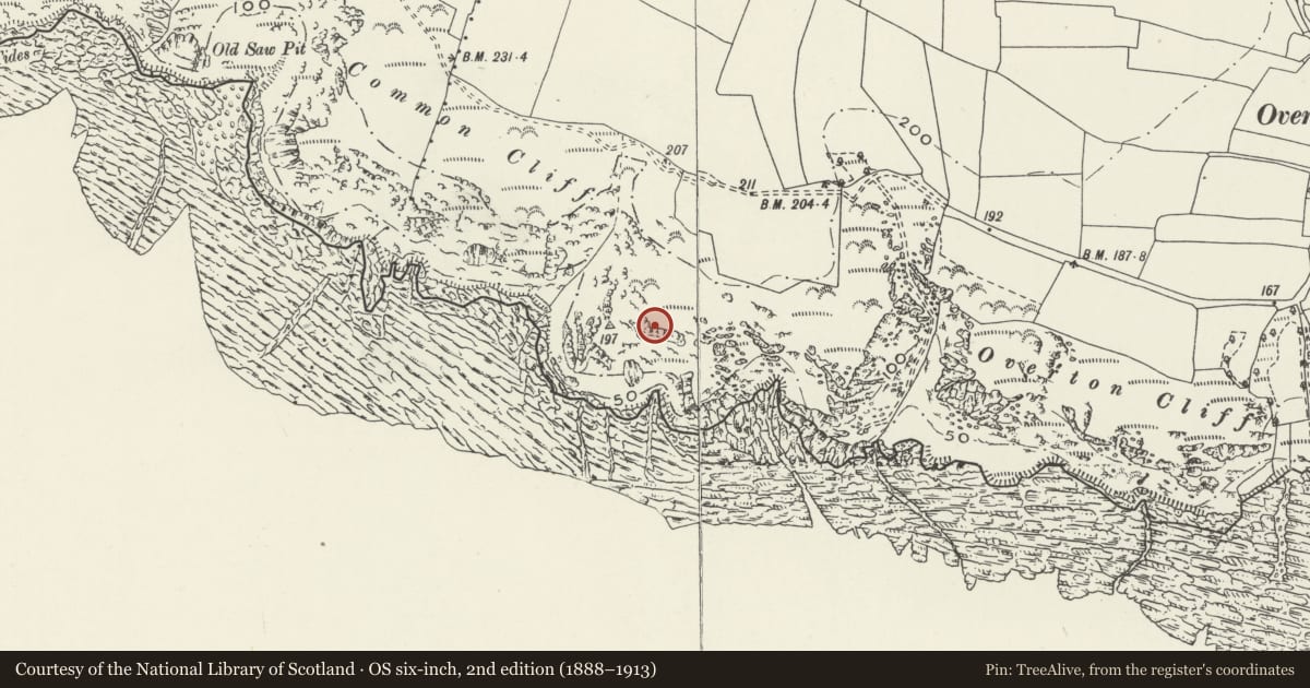 Ordnance Survey six-inch map, 2nd edition (1888–1913) covering the location of Longhole Cave, Port Eynon, Swansea, with a pin at the register's coordinates
