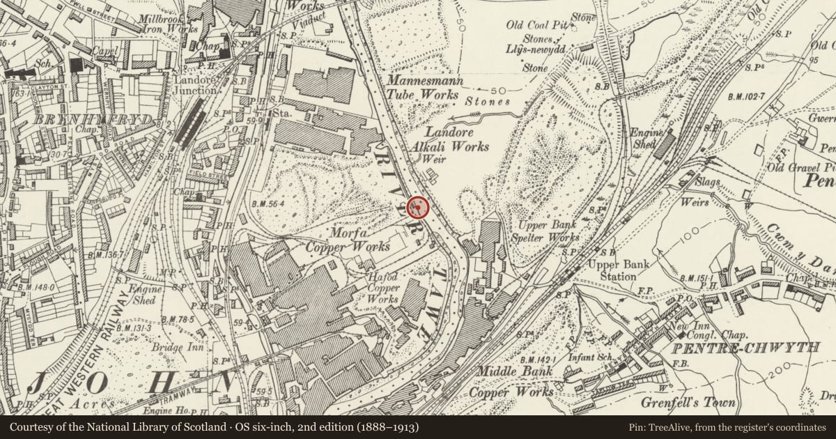 Ordnance Survey six-inch map, 2nd edition (1888–1913) covering the location of Morfa Bridge and Quays, Landore, Swansea, with a pin at the register's coordinates