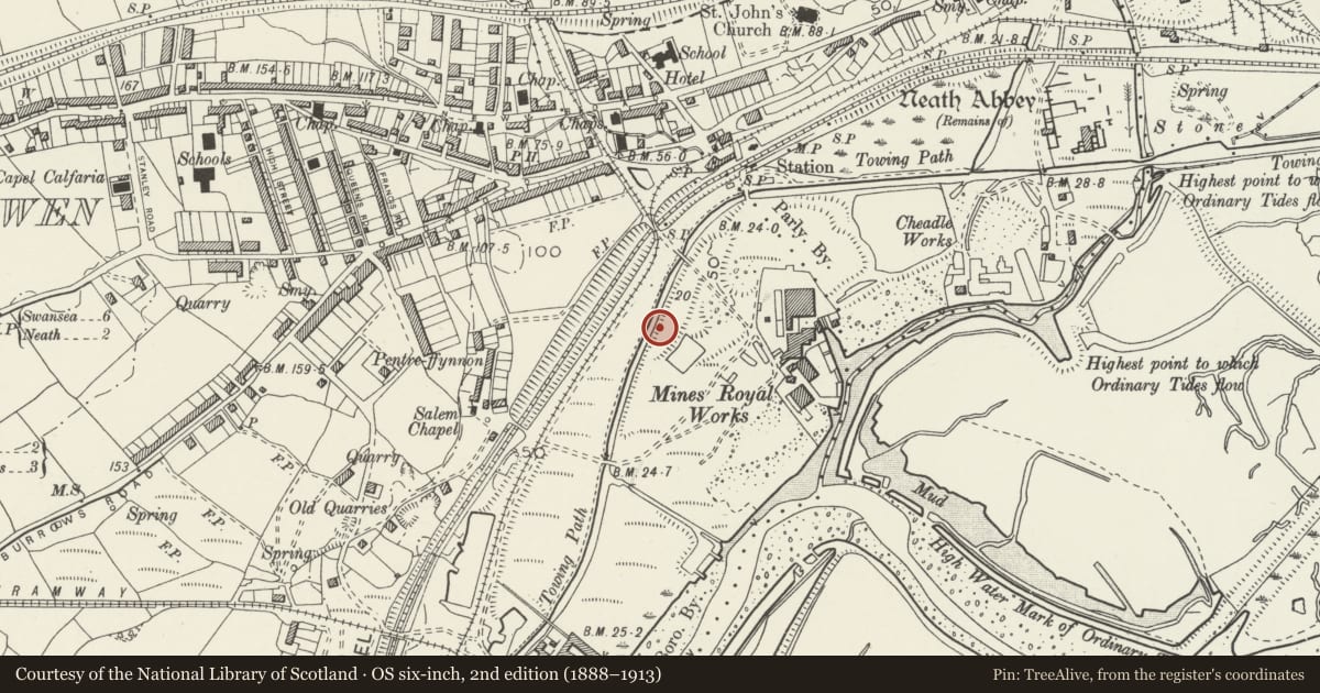 Ordnance Survey six-inch map, 2nd edition (1888–1913) covering the location of Tennant Canal: Skewen Cutting and tramroad bridge, Dyffryn Clydach, Neath Port Talbot, with a pin at the register's coordinates