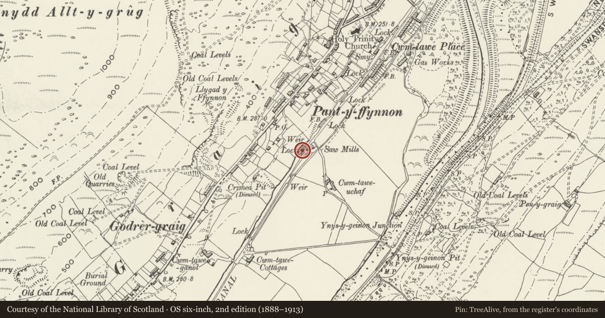 Ordnance Survey six-inch map, 2nd edition (1888–1913) covering the location of Remains of Lock and Dry Dock at Pantyffynnon, Ystalyfera, Neath Port Talbot, with a pin at the register's coordinates