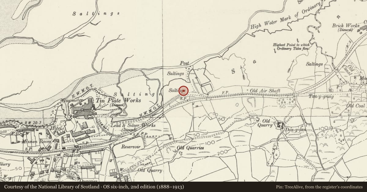 Ordnance Survey six-inch map, 2nd edition (1888–1913) covering the location of Penclawdd Sea Dock and Canal, Llanrhidian Higher, Swansea, with a pin at the register's coordinates