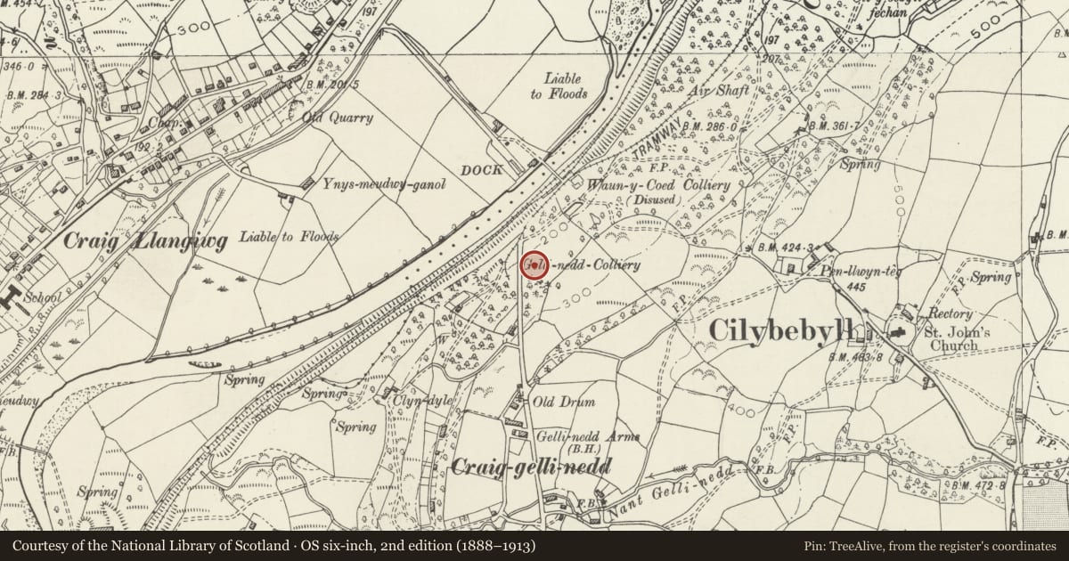 Ordnance Survey six-inch map, 2nd edition (1888–1913) covering the location of Waun y Coed Colliery Branch Canal and Tramroad Incline, Pontardawe, Neath Port Talbot, with a pin at the register's coordinates