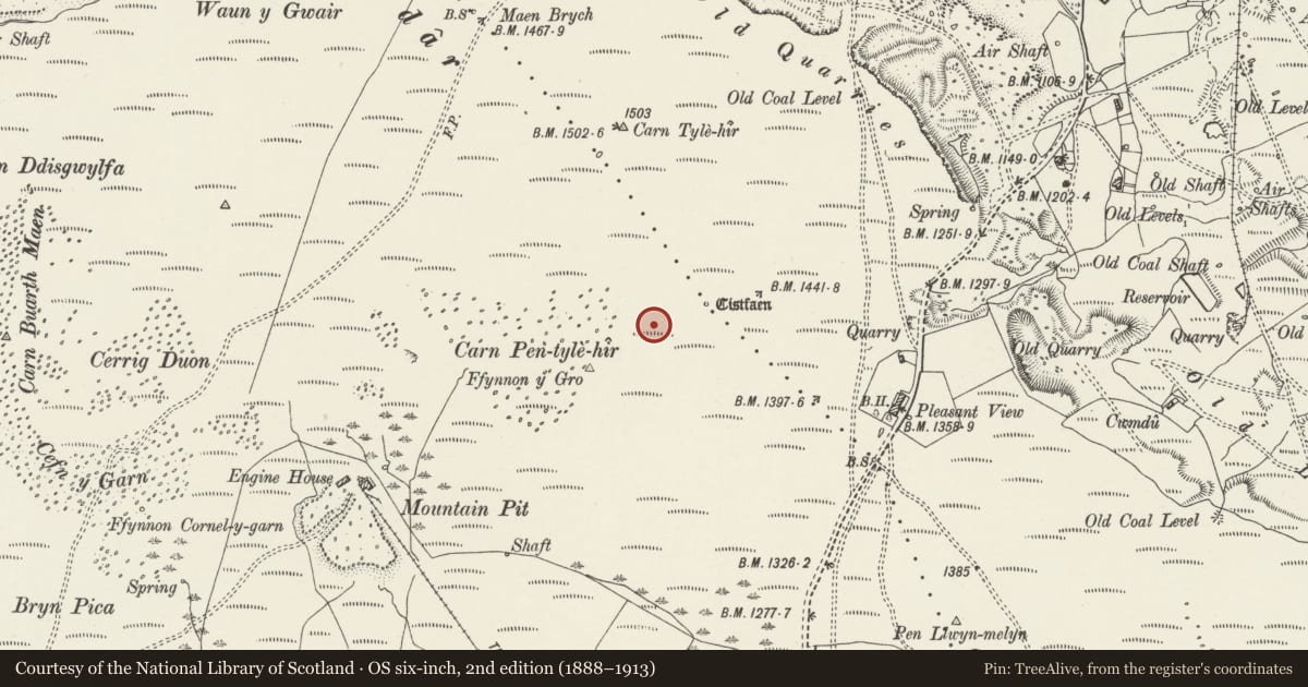 Ordnance Survey six-inch map, 2nd edition (1888–1913) covering the location of Carn Pentyle-Hir & Adjacent Round Cairn, Aberdare West, Rhondda Cynon Taff, with a pin at the register's coordinates