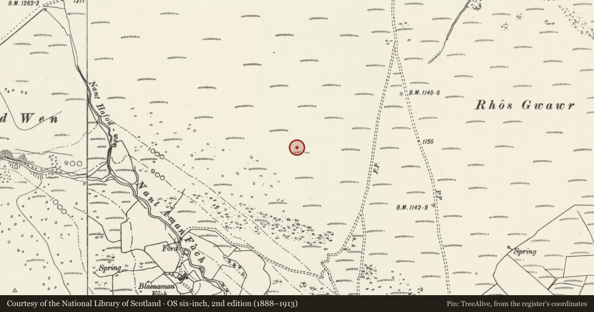 Ordnance Survey six-inch map, 2nd edition (1888–1913) covering the location of Rhos-Gwawr cairn cemetery, Aberaman, Rhondda Cynon Taff, with a pin at the register's coordinates