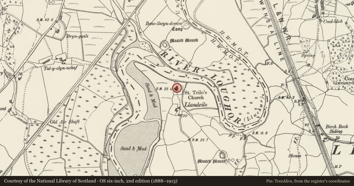 Ordnance Survey six-inch map, 2nd edition (1888–1913) covering the location of Site of St Teilo's Old Parish Church, Llandeilo, Talybont (now removed to St Fagans), Pontardulais, Swansea, with a pin at the register's coordinates