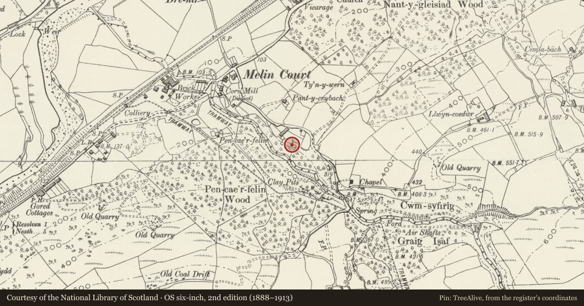 Ordnance Survey six-inch map, 2nd edition (1888–1913) covering the location of Remains of Blast Furnace at Melin Court, Resolven, Neath Port Talbot, with a pin at the register's coordinates