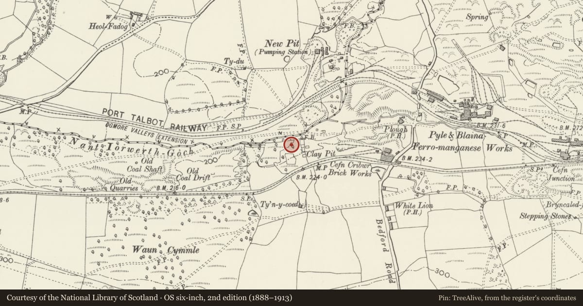 Ordnance Survey six-inch map, 2nd edition (1888–1913) covering the location of Cefn Cribwr Ironworks, Bridgend, with a pin at the register's coordinates