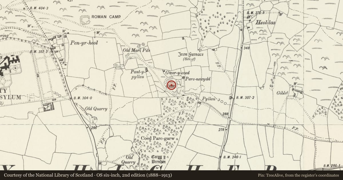 Ordnance Survey six-inch map, 2nd edition (1888–1913) covering the location of Earthwork at Pant-y-Pyllau, Coity Higher, Bridgend, with a pin at the register's coordinates
