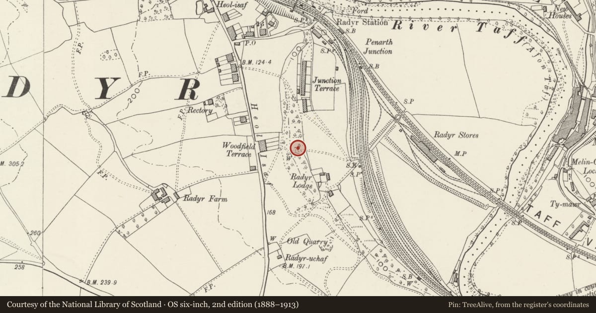 Ordnance Survey six-inch map, 2nd edition (1888–1913) covering the location of Cooking Mound East of Taff Terrace, Radyr and Morganstown, Cardiff, with a pin at the register's coordinates