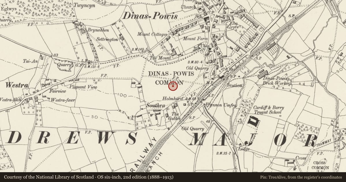 Ordnance Survey six-inch map, 2nd edition (1888–1913) covering the location of Romano-British Farmstead, Dinas Powys Common, Vale of Glamorgan, with a pin at the register's coordinates