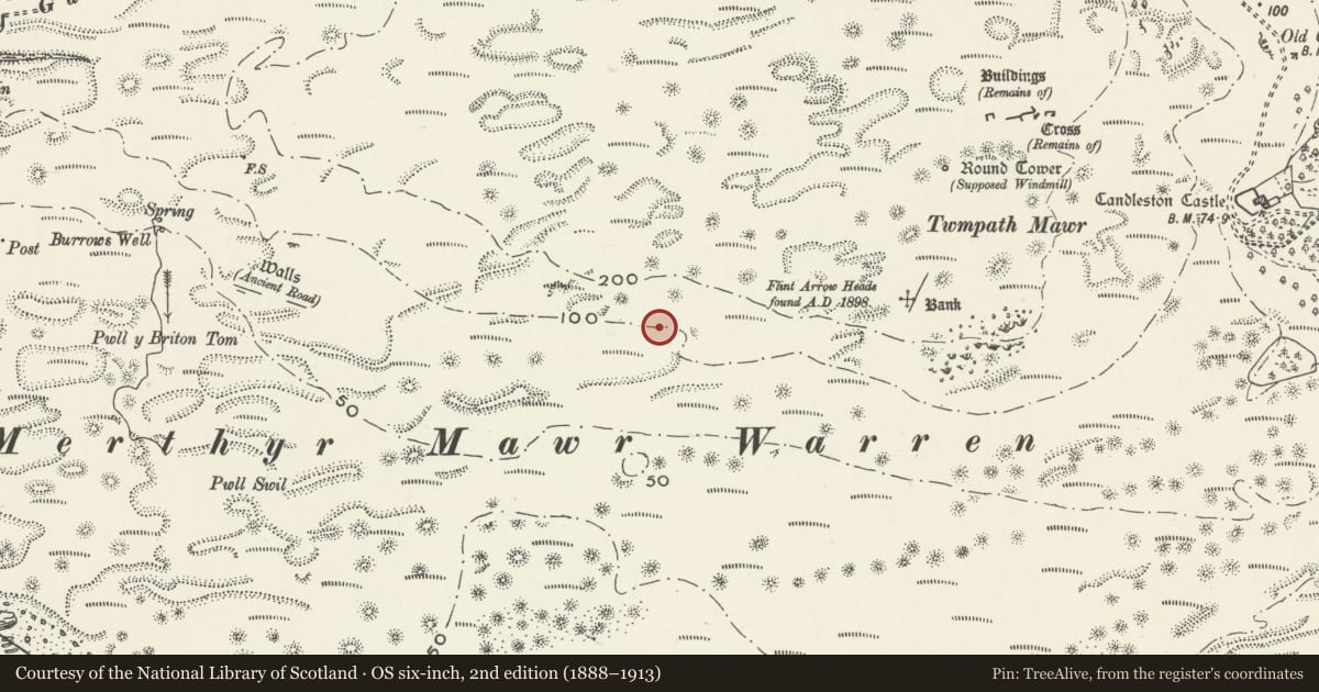 Ordnance Survey six-inch map, 2nd edition (1888–1913) covering the location of Merthyr Mawr Warren, Bridgend, with a pin at the register's coordinates