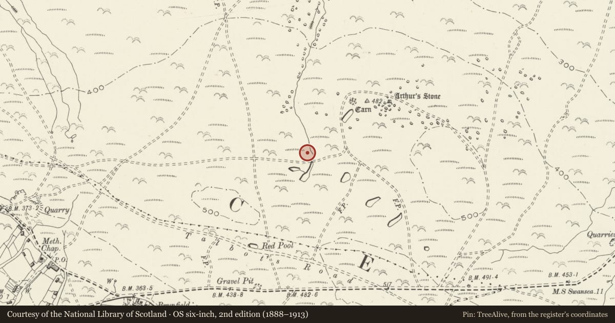 Ordnance Survey six-inch map, 2nd edition (1888–1913) covering the location of Burnt Mound 300m SW of Arthur's Stone, Llanrhidian Lower, Swansea, with a pin at the register's coordinates
