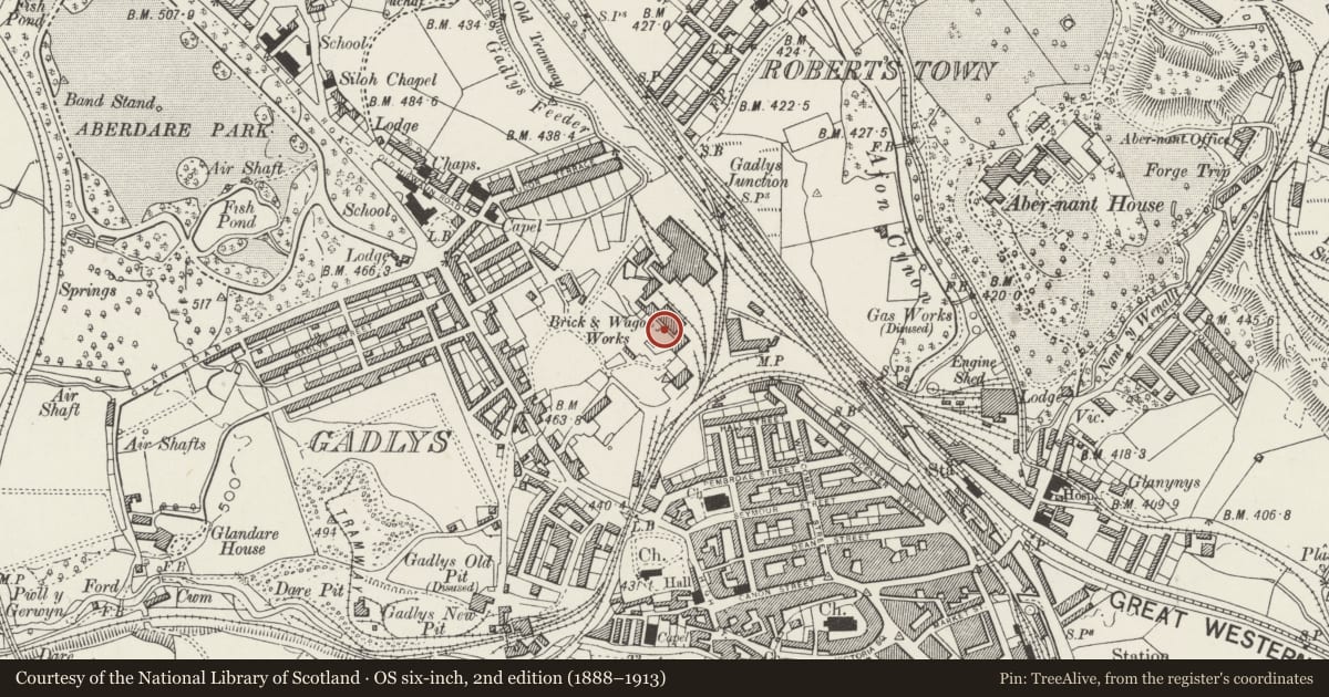 Ordnance Survey six-inch map, 2nd edition (1888–1913) covering the location of Gadlys Ironworks (Remains of Blast Furnace), Aberdare West, Rhondda Cynon Taff, with a pin at the register's coordinates