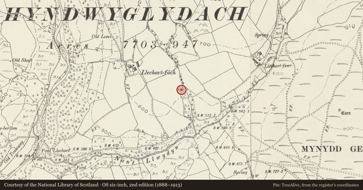 Ordnance Survey six-inch map, 2nd edition (1888–1913) covering the location of Cae Castell (Rhyndwyclydach Medieval Earthwork), Mawr, Swansea, with a pin at the register's coordinates