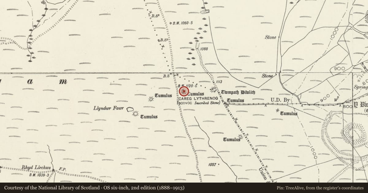 Ordnance Survey six-inch map, 2nd edition (1888–1913) covering the location of Site of Bodvoc Stone, Margam, Neath Port Talbot, with a pin at the register's coordinates