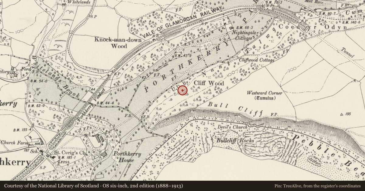 Ordnance Survey six-inch map, 2nd edition (1888–1913) covering the location of Site of Medieval Mill & Mill Leat Cliffwood, Barry, Vale of Glamorgan, with a pin at the register's coordinates