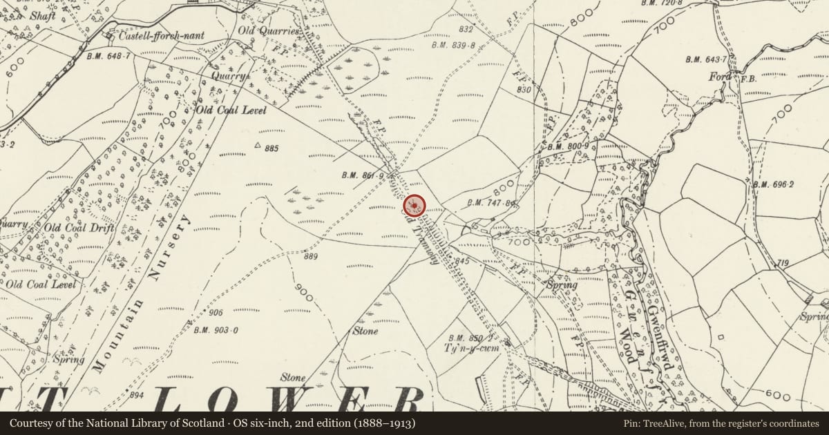 Ordnance Survey six-inch map, 2nd edition (1888–1913) covering the location of Glyncorrwg Mineral Railway (Parsons Folly) Section on Cefn Morfudd, Tonna, Neath Port Talbot, with a pin at the register's coordinates