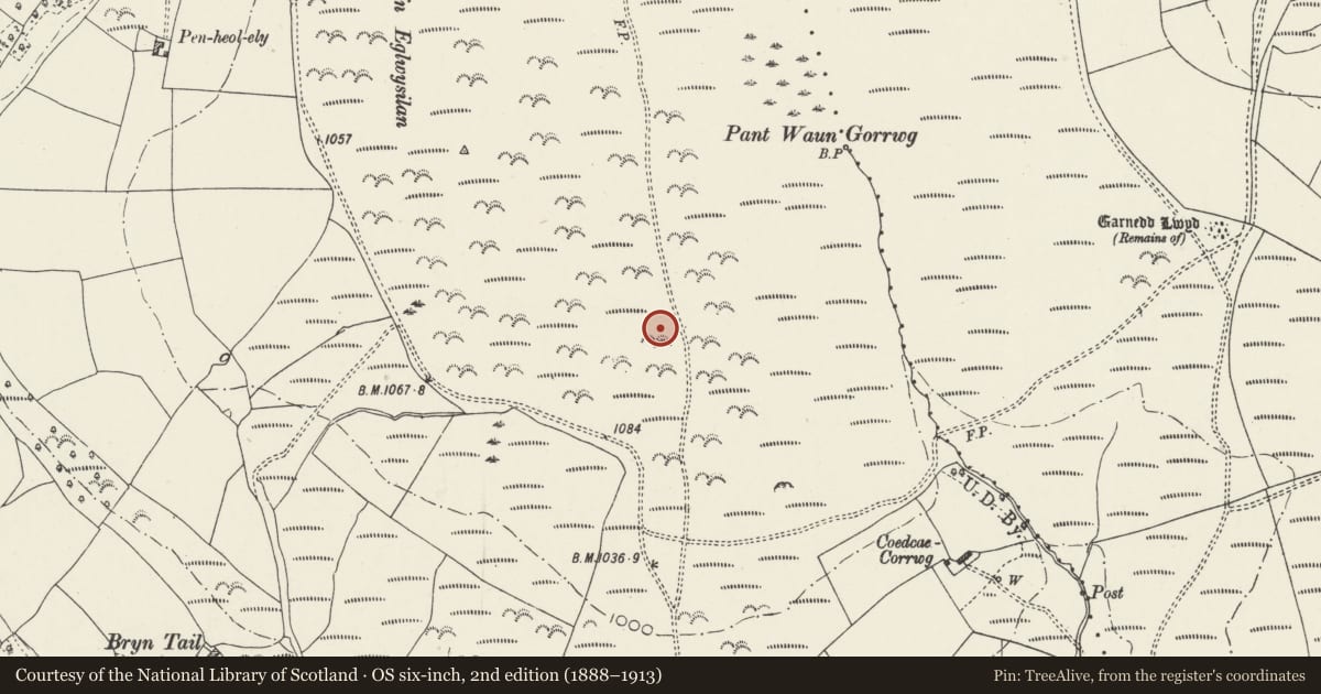 Ordnance Survey six-inch map, 2nd edition (1888–1913) covering the location of Cross Ridge Dyke & Earthwork on Cefn Eglwysilan, Pontypridd, Rhondda Cynon Taff, with a pin at the register's coordinates
