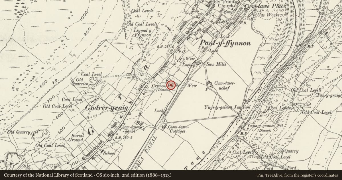 Ordnance Survey six-inch map, 2nd edition (1888–1913) covering the location of Crimea Colliery & Canal Quay, Ystalyfera, Neath Port Talbot, with a pin at the register's coordinates