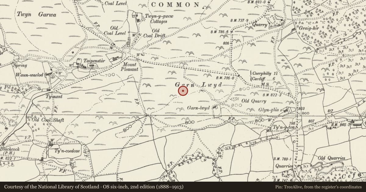 Ordnance Survey six-inch map, 2nd edition (1888–1913) covering the location of Caerffili Mountain Shaft Mounds, Caerphilly, with a pin at the register's coordinates