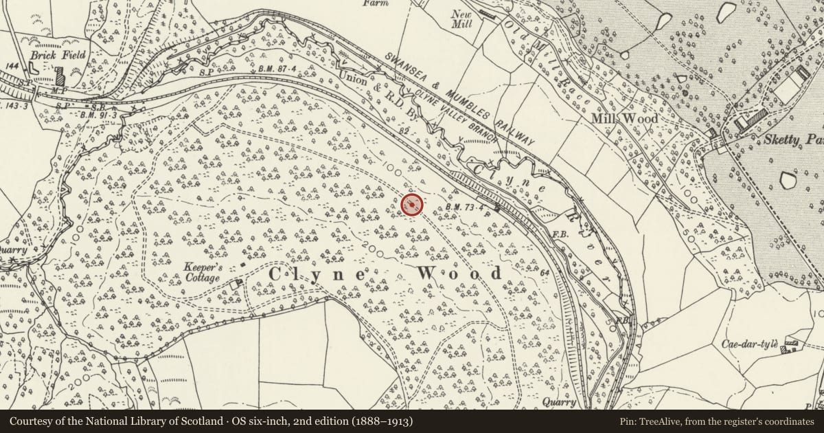 Ordnance Survey six-inch map, 2nd edition (1888–1913) covering the location of Clyne Valley Shaft Mounds, Mumbles, Swansea, with a pin at the register's coordinates