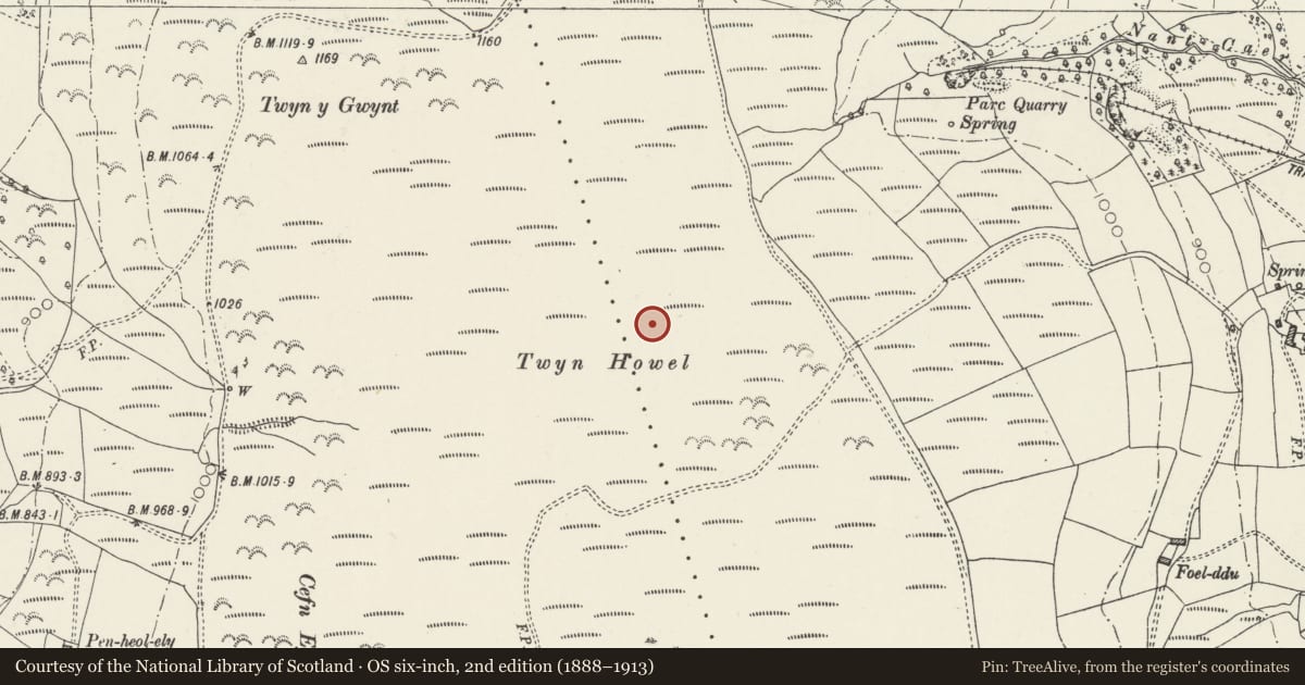Ordnance Survey six-inch map, 2nd edition (1888–1913) covering the location of Cross Ridge Dyke & Cairn on Twyn Hywel, Pontypridd, Rhondda Cynon Taff, with a pin at the register's coordinates