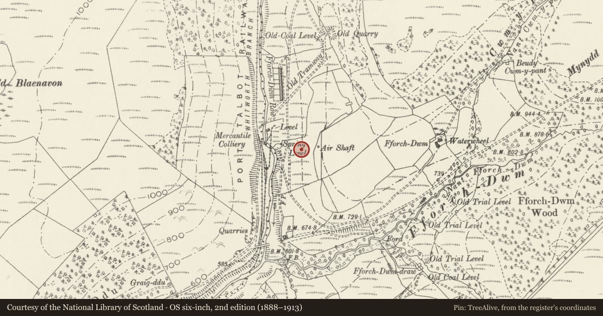 Ordnance Survey six-inch map, 2nd edition (1888–1913) covering the location of Cwm Pelenna Colliery Ventilation Furnace, Neath Port Talbot, with a pin at the register's coordinates