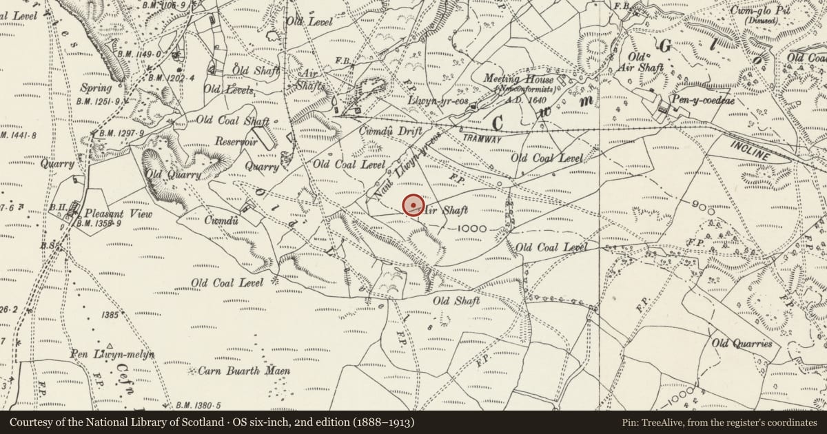 Ordnance Survey six-inch map, 2nd edition (1888–1913) covering the location of Cwmdu Air Shaft & Fan, Cyfarthfa, Merthyr Tydfil, with a pin at the register's coordinates