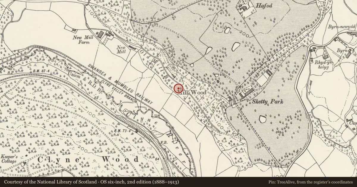 Ordnance Survey six-inch map, 2nd edition (1888–1913) covering the location of Ynys Pit & Leat, Mumbles, Swansea, with a pin at the register's coordinates