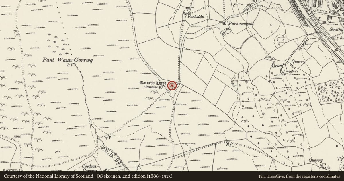 Ordnance Survey six-inch map, 2nd edition (1888–1913) covering the location of Garnedd Lwyd, Aber Valley, Caerphilly, with a pin at the register's coordinates