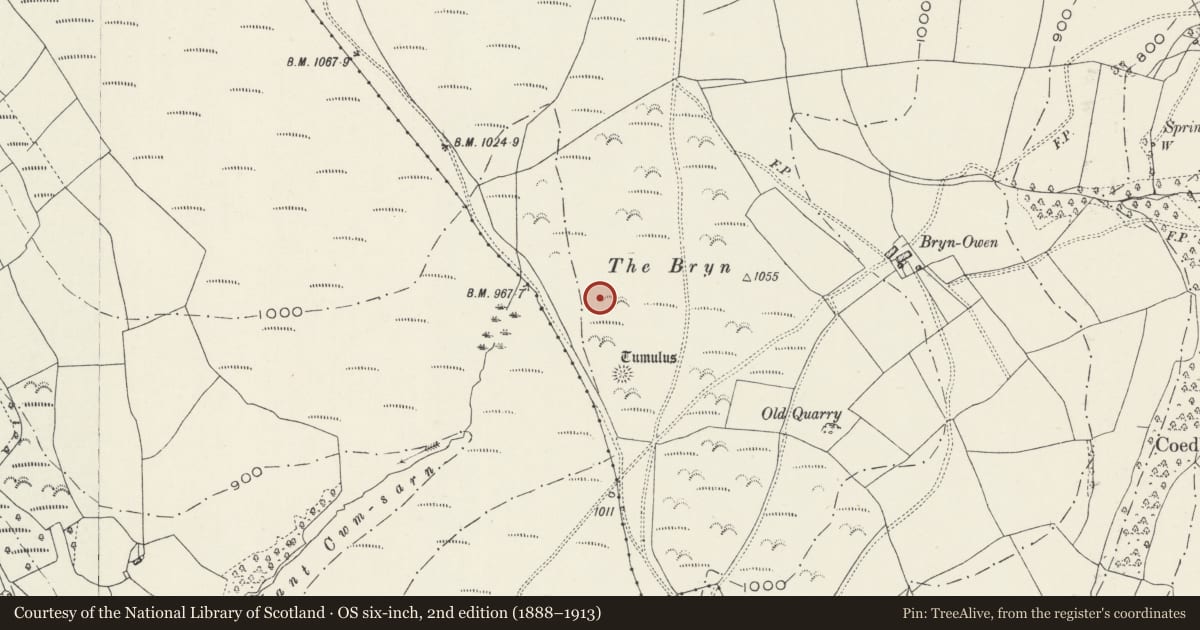 Ordnance Survey six-inch map, 2nd edition (1888–1913) covering the location of Two Round Cairns on the Bryn, Aber Valley, Caerphilly, with a pin at the register's coordinates