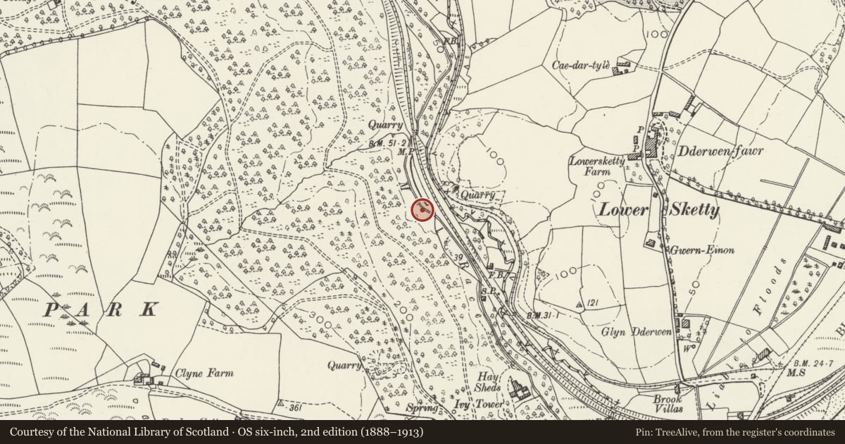 Ordnance Survey six-inch map, 2nd edition (1888–1913) covering the location of Clyne Wood Coal Level, Mumbles, Swansea, with a pin at the register's coordinates