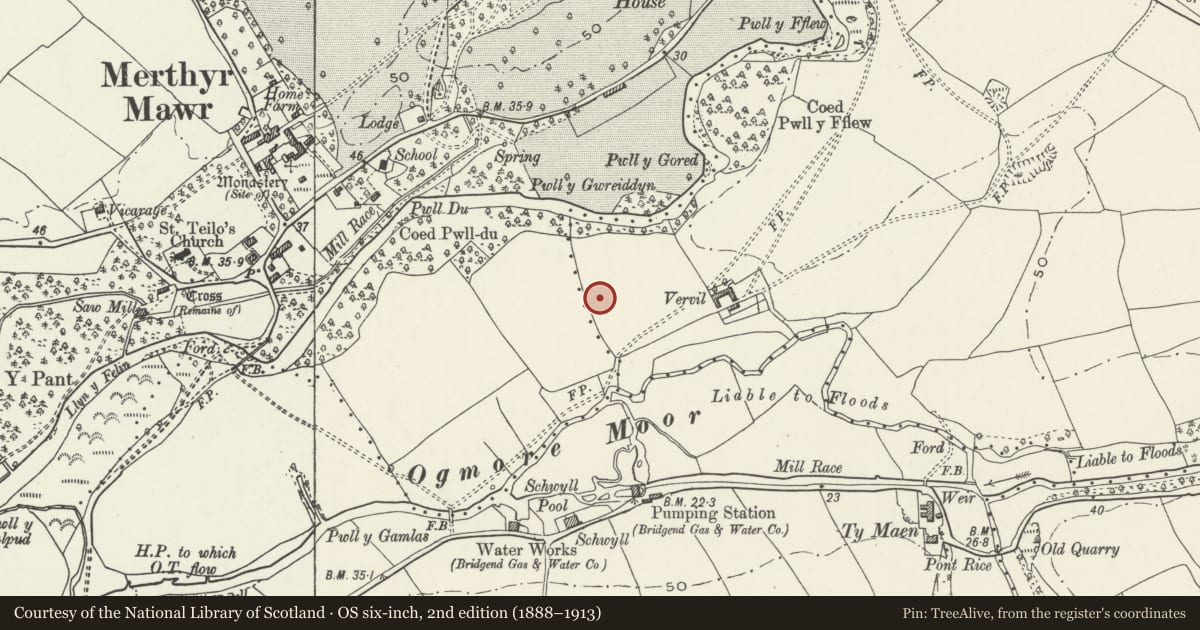 Ordnance Survey six-inch map, 2nd edition (1888–1913) covering the location of Vervil Dyke, Merthyr Mawr, Bridgend, with a pin at the register's coordinates